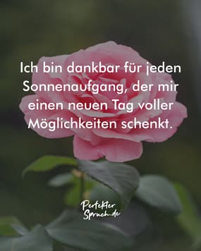 150 Dankbarkeit Sprüche mit Bildern zum Herunterladen