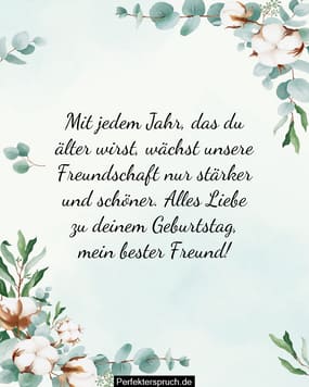 Geburtstagsgrusse Fur Den Besten Freund