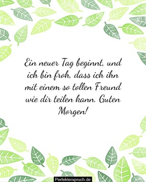 150 Guten Sprüche für Freunde