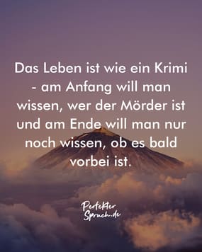 150 Humor Sprüche über das Leben mit Bildern zum runterladen