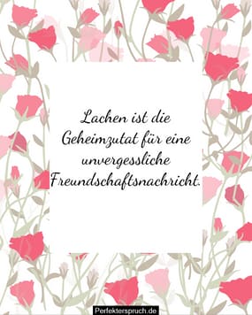 150 Lustige FreundschaftsSprüche, SMS und Zitate