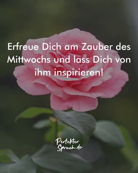 Entfessele Die Magie Des Mittwochs Wunderschone Zauberhaften Mittwoch Bilder Zum Traumenfeed