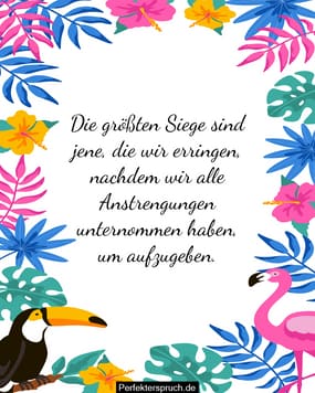 150 Sprüche und Zitate zum Thema 'Niemals aufgeben'