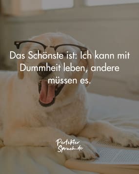 140+ Sarkastische Sprüche mit Bildern zum runterladen (2023)