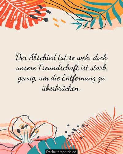 Sprüche Zum Abschied Einer Freundin Die Ins Ausland Geht Beste Wünsche und AbschiedsSprüche an einen Freund, der ins Ausland geht