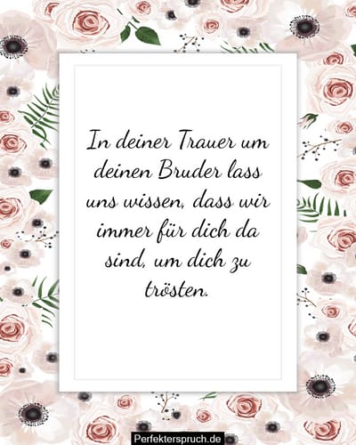 Verwunderlich Geschwister Trauer Um Bruder Bild