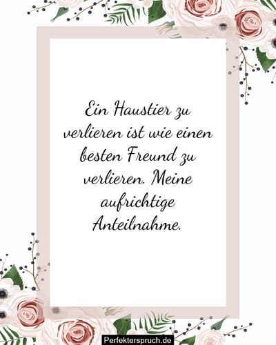 Herzliche Freundschaftskarte – Für Trost, Ermutigung & Kondolenz