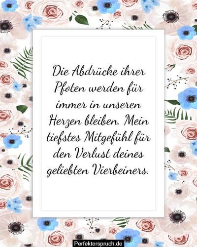 Herzliche Freundschaftskarte – Für Trost, Ermutigung & Kondolenz