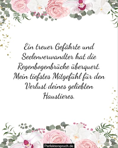 Herzliche Freundschaftskarte – Für Trost, Ermutigung & Kondolenz