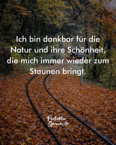 150 Dankbarkeit Sprüche mit Bildern zum Herunterladen