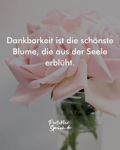 150 Dankbarkeit Sprüche mit Bildern zum Herunterladen