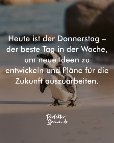 Verwunderlich Schnen Donnerstag Spruch Ebenbild