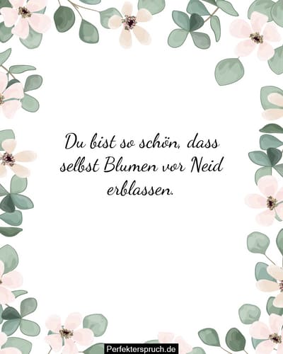 Du bist so schön Sprüche und Zitate