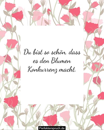 Du bist so schön Sprüche und Zitate