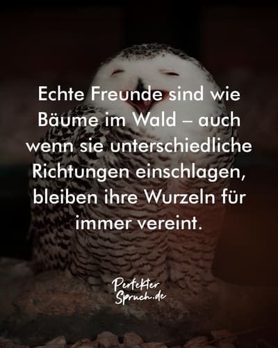 150 Schöne WhatsApp Freundschaft Sprüche mit Bildern