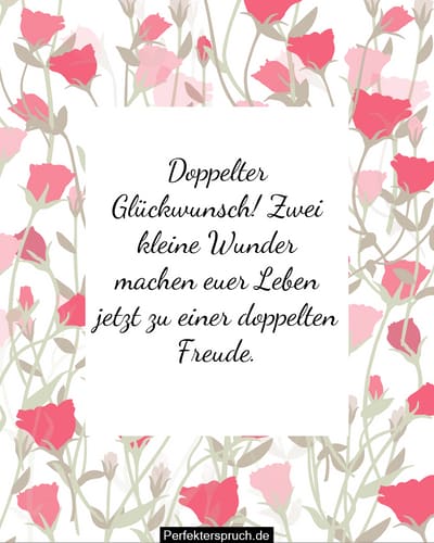 Zwillinge Baby Wünsche Glückwünsche Sprüche Für Zwillinge