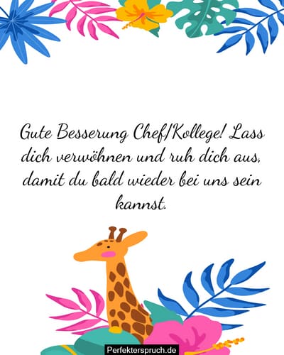 Gute Besserungs Spruche Fur Kollegen