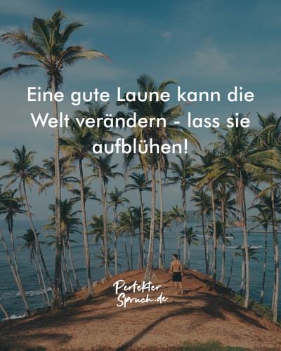 Weisheiten Schön Gute Laune Sprüche