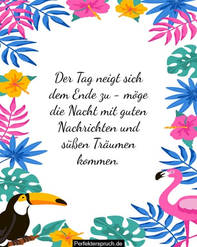 150 Gute Abend Sprüche, Wünsche & Zitate