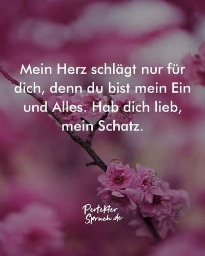 Bilder Hab Dich Lieb Mein Schatz 150 Hab dich lieb Bilder zum herunterladen & teilen (2023)