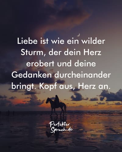 Ich Will Nur Eine Mit Herz Kopf Und Pep 150 Herz über Kopf Sprüche Bildern zum runterladen & teilen
