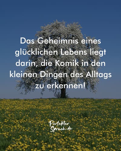 150 Humor Sprüche über das Leben mit Bildern zum runterladen