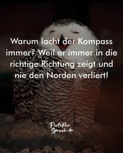 150 Sprüche zum Lachen mit Bildern zum runterladen & teilen