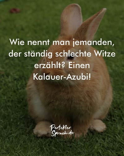 150 Sprüche zum Lachen mit Bildern zum runterladen & teilen