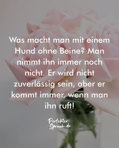 150 Sprüche zum Lachen mit Bildern zum runterladen & teilen