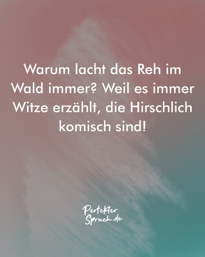 150 Sprüche zum Lachen mit Bildern zum runterladen & teilen