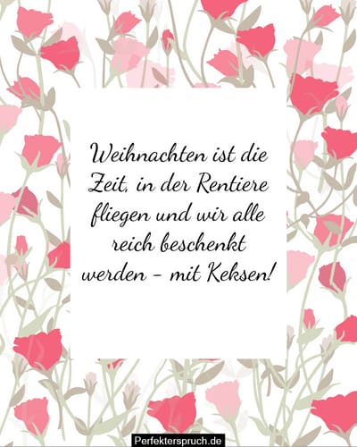 150 Lustige Weihnachtswünsche, Sprüche und Grüße
