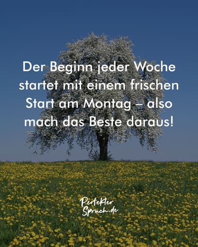 Starten Sie Die Woche Mit Einem Lacheln Die Schonsten Montag Bilder Zum Downloadfeed