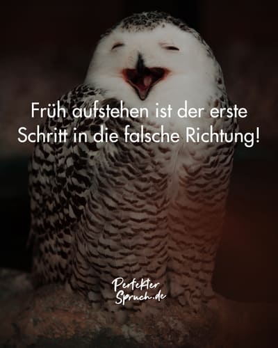 140+ Sarkastische Sprüche mit Bildern zum runterladen (2023)