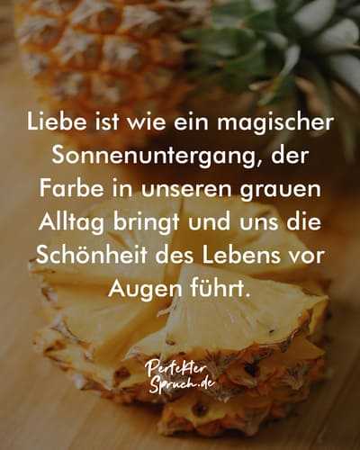 150 Sprüche über Liebe mit Bildern zum runterladen & teilen